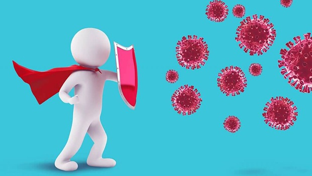 Hệ miễn dịch tốt giúp tiêu diệt virus, vi khuẩn trước khi chúng kịp gây bệnh.