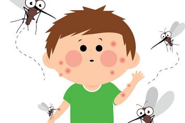 Cách phòng muỗi cho trẻ